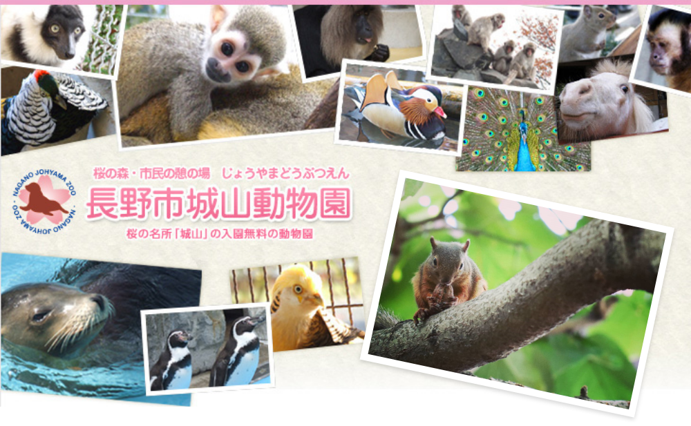 「長野市城山動物園親善大使」任命式 » 城山動物園