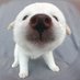 ?sarah? on Twitter: 