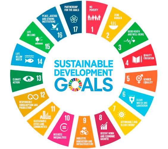 SDGsって結局何なんですか？