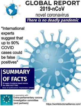 Global Covid Report