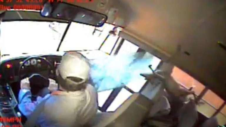 シカが走行中の学校バスに飛び込む、フロントガラス突き破り 米