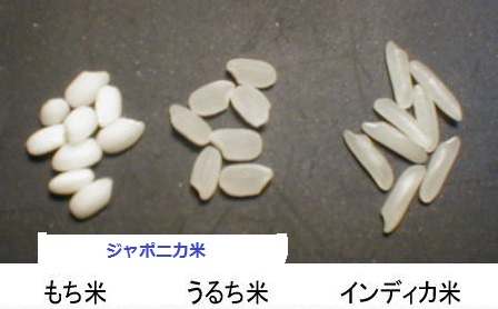 千鳥ノブ、薄毛治療薬で“女性化”始まりボヤキ節