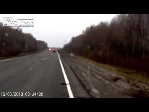 野生の熊が車と衝突 - YouTube