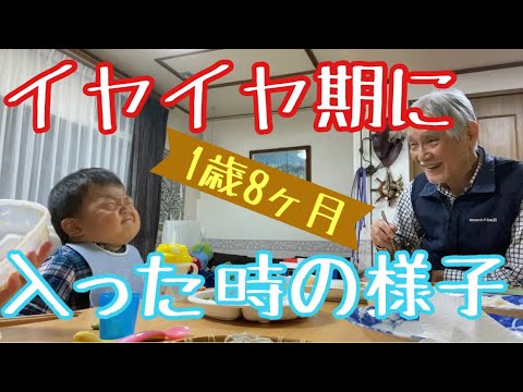 貴重！イヤイヤ期に突入した瞬間の映像? - YouTube