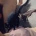 きゅー?? on Twitter: 