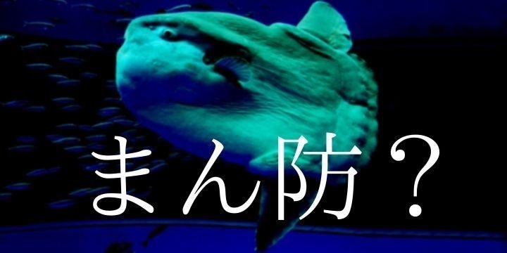 ゆるすぎ略称「まんぼう」、知事や大臣に嫌われ消滅か　ネットで「北杜夫」「ヤン坊マー坊」懐かしむ声