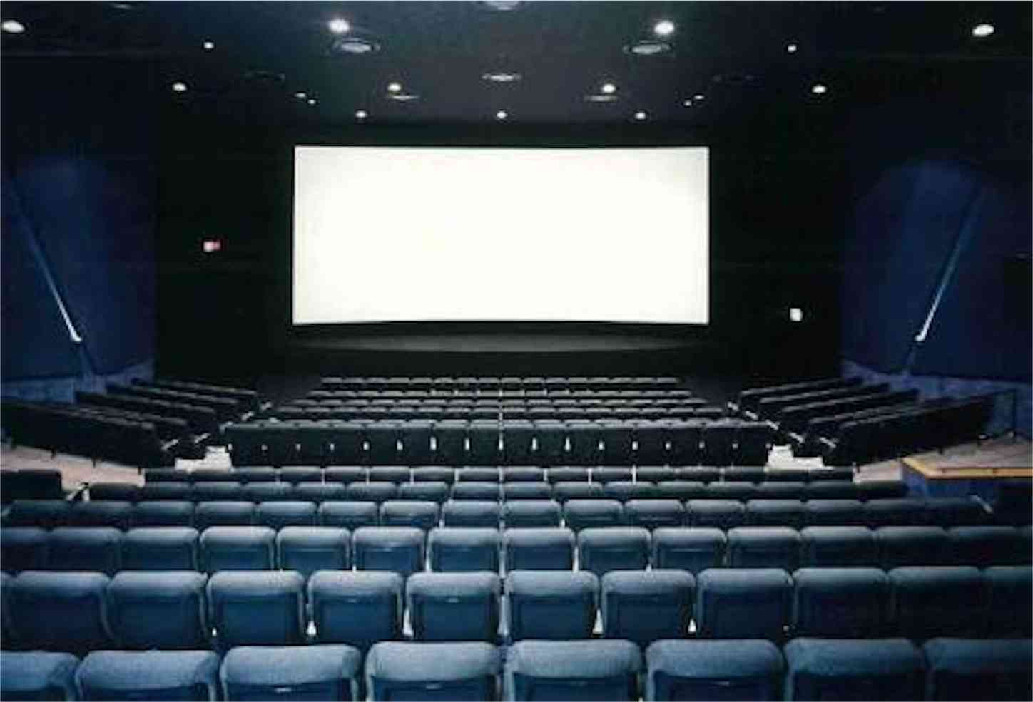 今後見に行く予定の映画