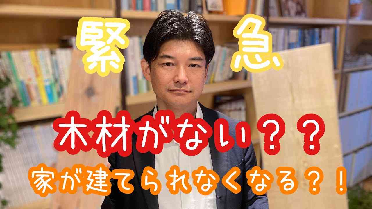 ［緊急］ウッドショック！！家が建てられなくなる？！ - YouTube
