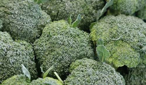ブロッコリーは生食できる？危険？栄養や食べ方・レシピのおすすめ7選を紹介！ | ちそう