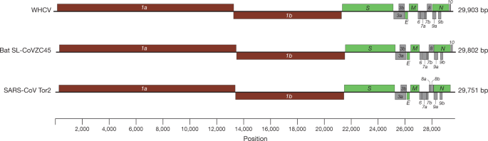 A new coronavirus associated with human respiratory disease in China | Nature
