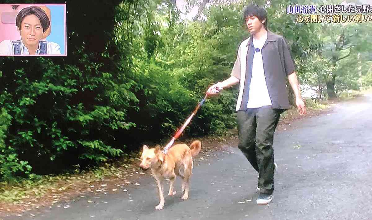 山田裕貴「プロ野球選手の息子、って看板重かった」 中3で野球辞め、甲子園で涙止まらず