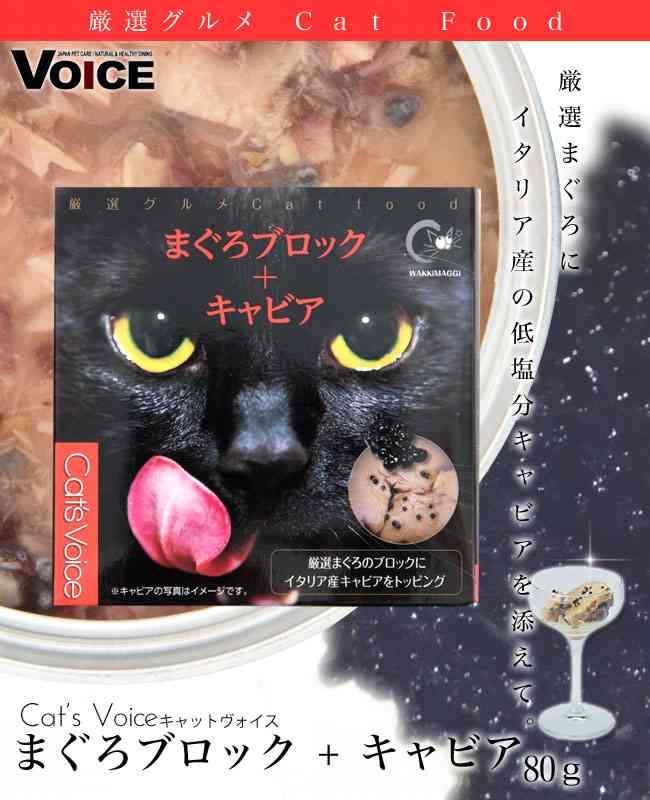 ペットの誕生日何しますか？
