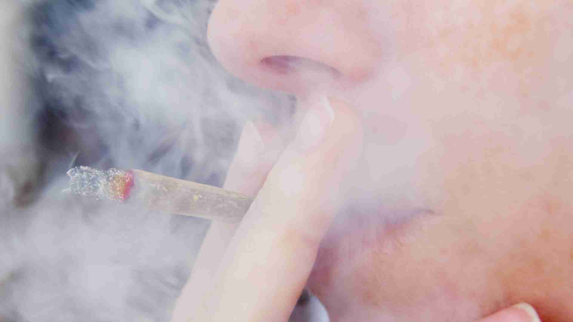 ペットを襲う「受動喫煙」や「３次喫煙」のリスク 法改正を機会に知ってほしい問題点とは？(石井万寿美) - 個人 - Yahoo!ニュース