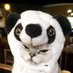 小鉄@Panda hugger?????? on Twitter: 