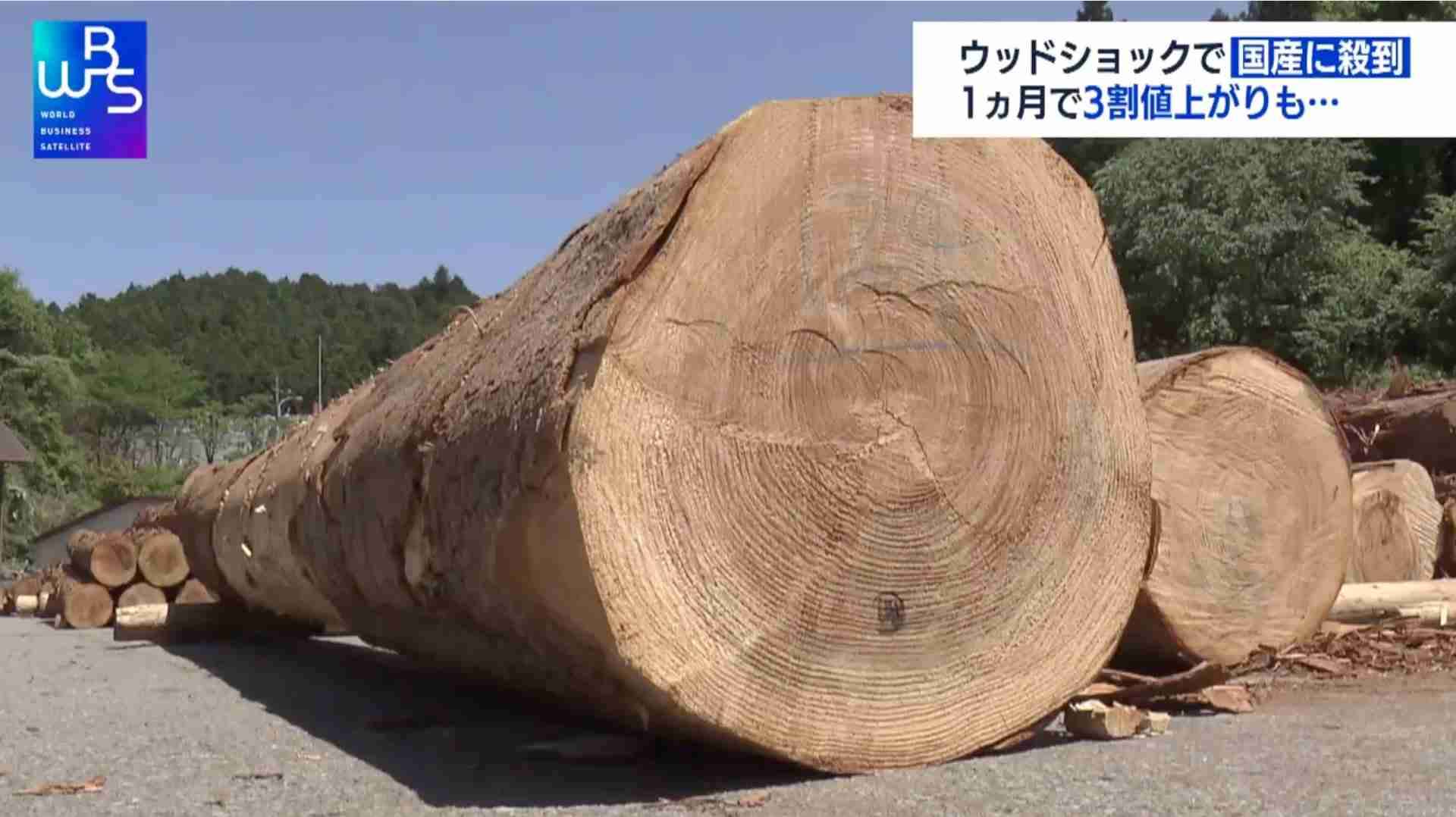 忍び寄る