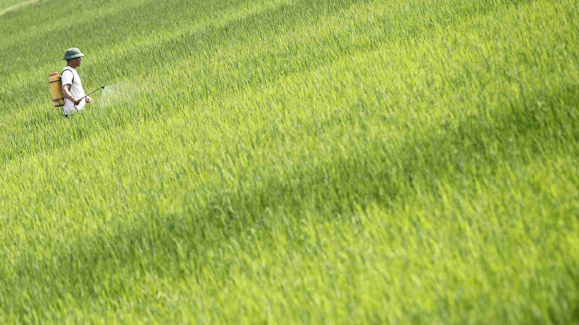 EUで使用禁止の農薬が大量に日本へ　(猪瀬聖) - 個人 - Yahoo!ニュース