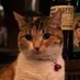 qqdoctor @ COVID-19対応中 on Twitter: 