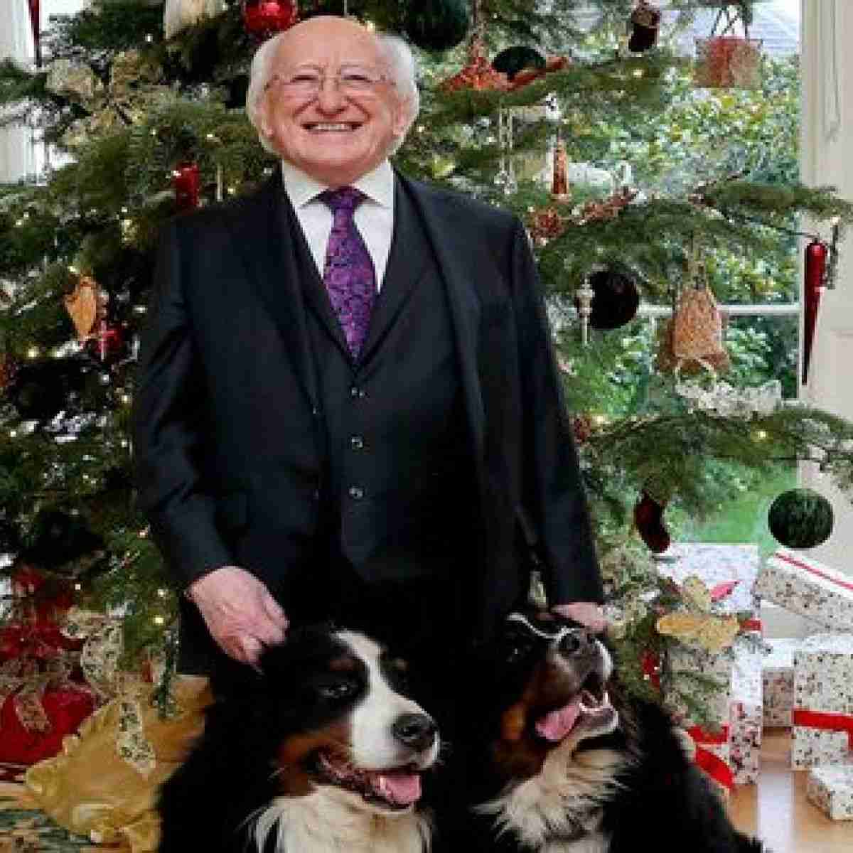 アイルランド大統領 生後6か月の子犬に甘噛みされながらも真顔で会見を続ける 動画あり ガールズちゃんねる Girls Channel
