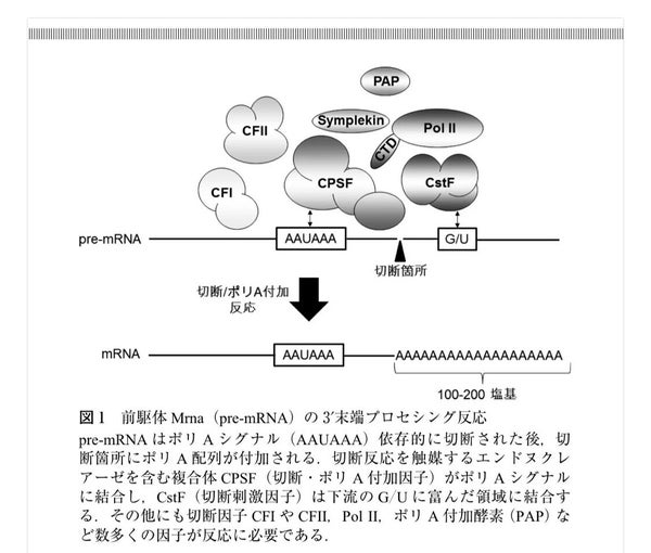 新型コロナ 東京都で新たに355人の感染確認