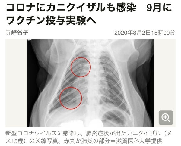 新型コロナ 東京都で新たに355人の感染確認