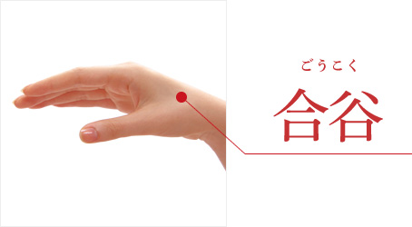 身体の不調に効くツボ