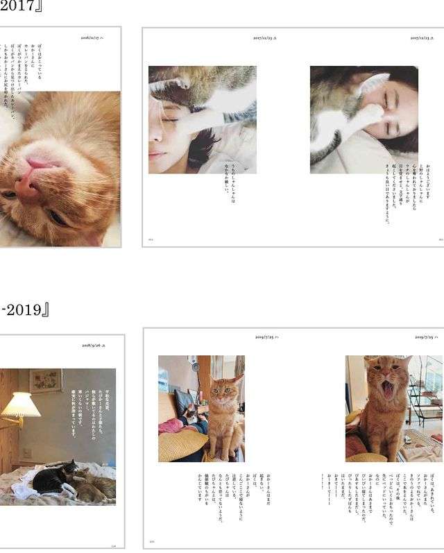 石田ゆり子、愛猫たちとの日常をまとめた書籍発売「印税は全て保護犬、保護猫のため」