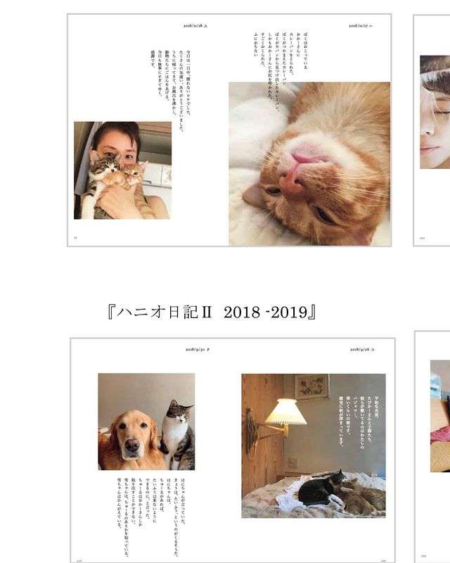 石田ゆり子、愛猫たちとの日常をまとめた書籍発売「印税は全て保護犬、保護猫のため」