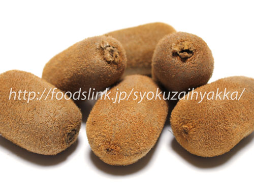 香緑（こうりょく）＜キウイの品種：旬の果物百科