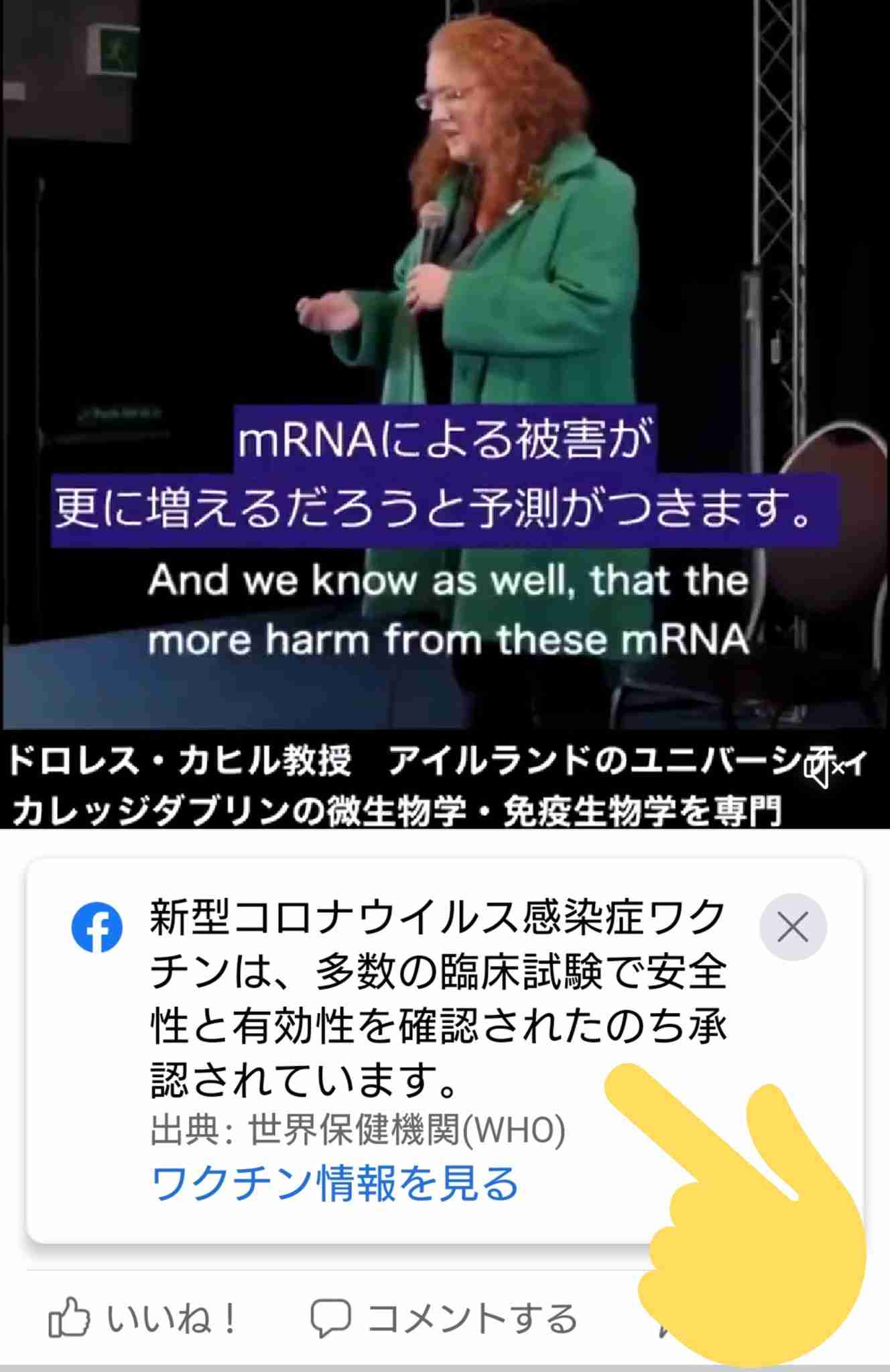 重要情報：BCG接種を義務とする国々ではファイザーのコロナワクチンは即時中止すべきという見解 | 赤ちゃんわんこの超かわいいこいぬさん、大学時代の卒業論文を掲載！！