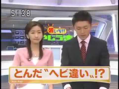 【放送事故】「ニシキヘビ」が見つかったニュースで笑いをこらえられない女子アナｗｗ - YouTube
