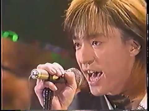 WILD HEAVEN - YouTube