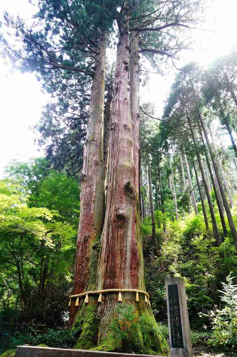 日本最強クラスのパワースポット！茨城県日立市「御岩神社」でパワーチャージ！ | 茨城県 | LINEトラベルjp 旅行ガイド