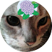 三月兎(手洗いうがい疫病退散) on Twitter: 