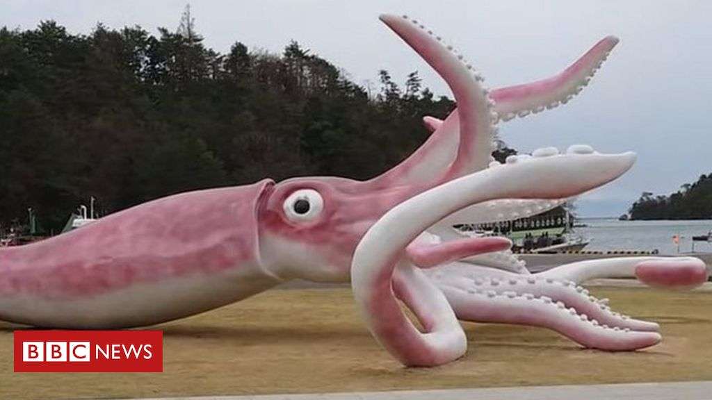 Covid: Japan town builds giant squid statue with relief money - BBC News