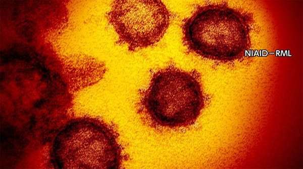 新型コロナ 東京都で新たに542人の感染確認