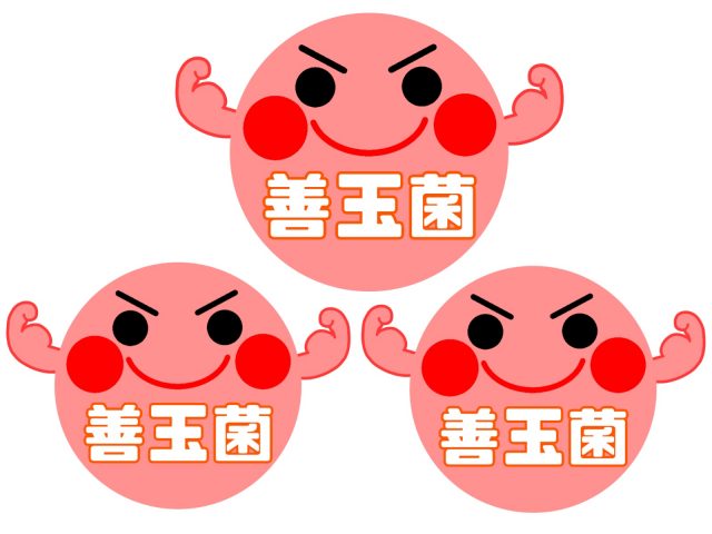 善玉菌を増やす方法