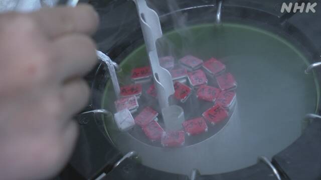 国内初 精子バンク立ち上げへ 獨協医科大の医師ら | NHKニュース