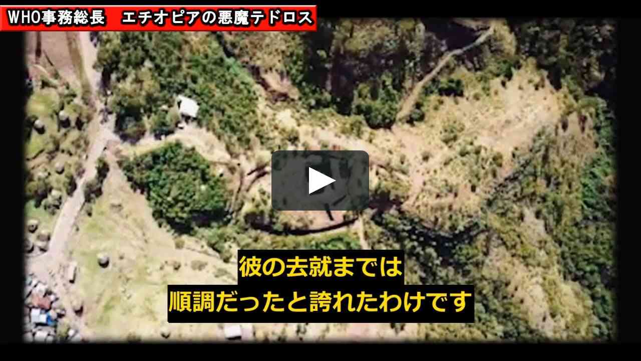WHOとテドロスの正体～もはや一刻の猶予も無し～ on Vimeo