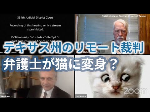 弁護士が猫に変身　テキサス州リモート裁判 - YouTube
