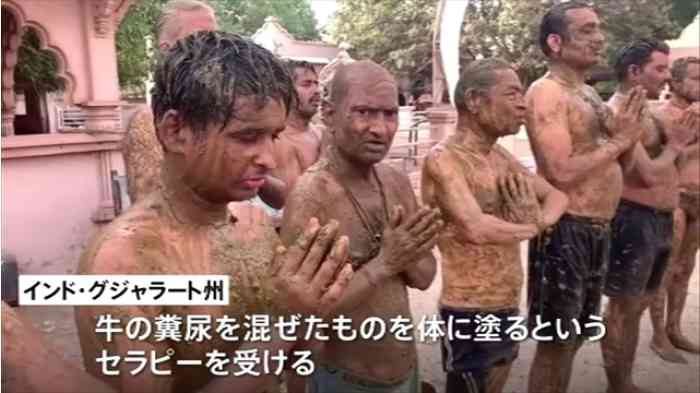 インドの医師らが警告「牛の糞はコロナに効果なし」