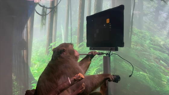 脳にチップを埋め込んだサルが「思考」だけでゲームをする映像が公開される