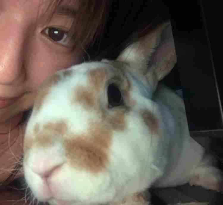 小林礼奈 強制的な実家療養を報告「疲れがピークに達したみたい」