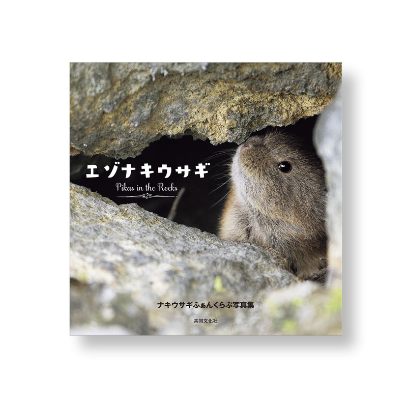 【風景】おすすめの写真集【動物】