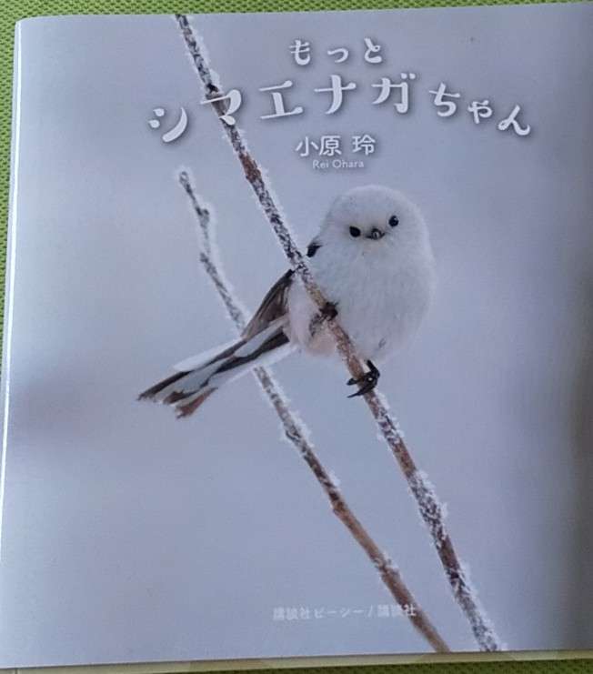 今一番近くにある本のタイトルは?part2