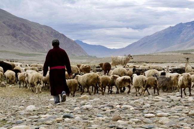 海外でしか見たことのないもの