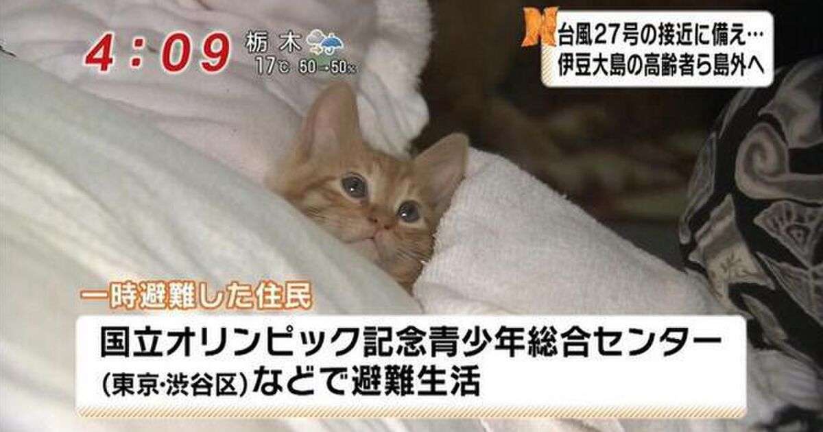 ガルちゃんで好感度が高いと思う画像part2