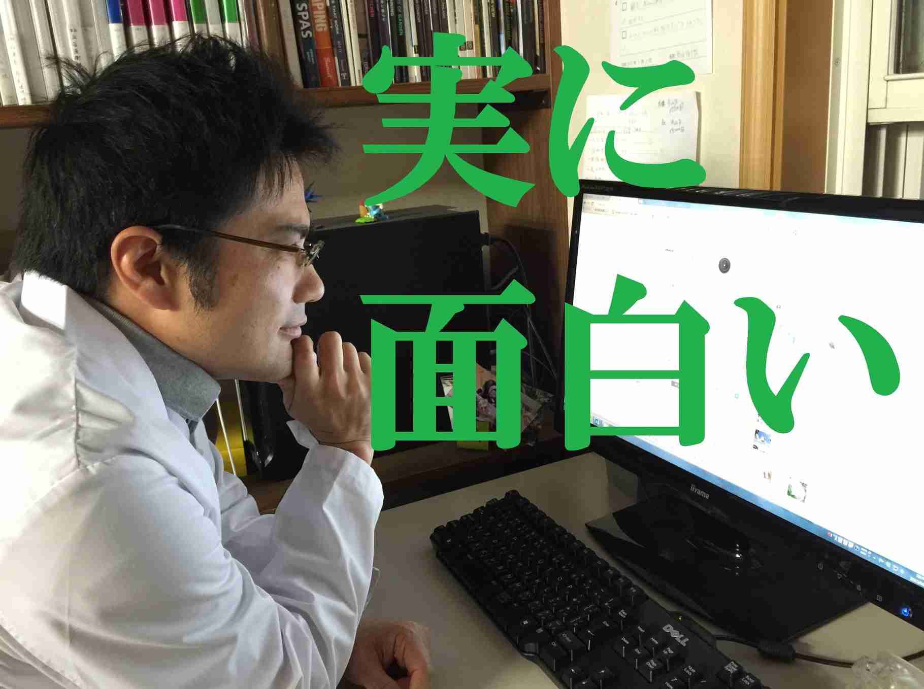 【庭に実のなる植木を植えてはいけない？】言い伝えを調べて検証してみた。～ビワ編～ 2015-6-9 - 洋風イングリッシュガーデン＆お庭リフォームは柴垣グリーンテック