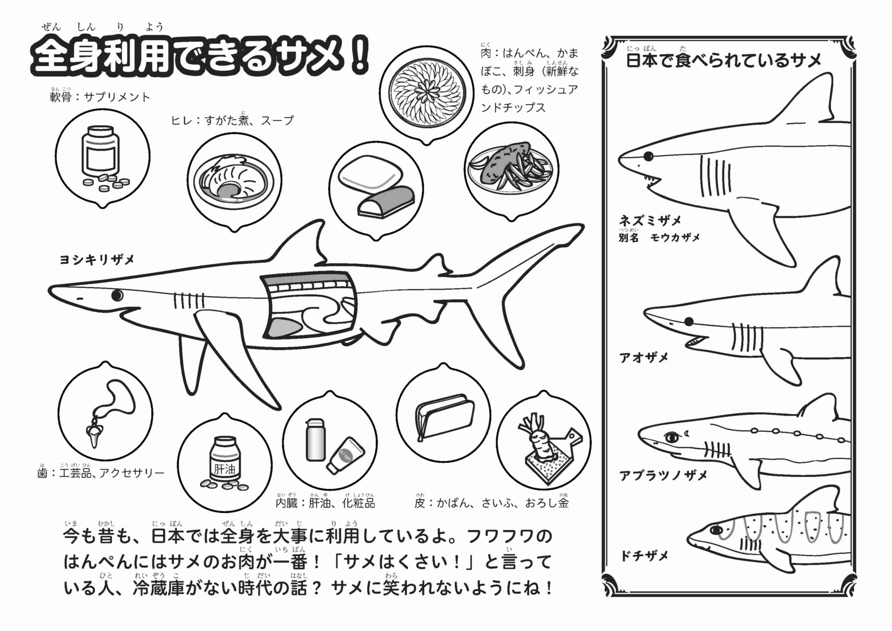 英、フカヒレ輸出入禁止　フォアグラも検討、「動物福祉」で