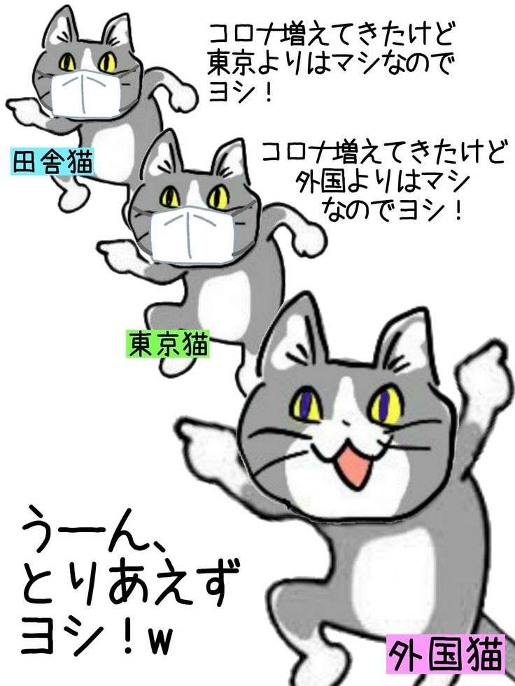 「現場猫」おしゃれまとめの人気アイデア｜Pinterest｜Tsuishiken【2021】 | 漫画, 面白い画像, コラ画像