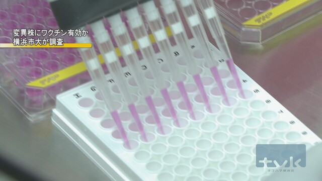 横浜市大　変異株に対するワクチンの有効性を調査（tvkニュース（テレビ神奈川）） - Yahoo!ニュース